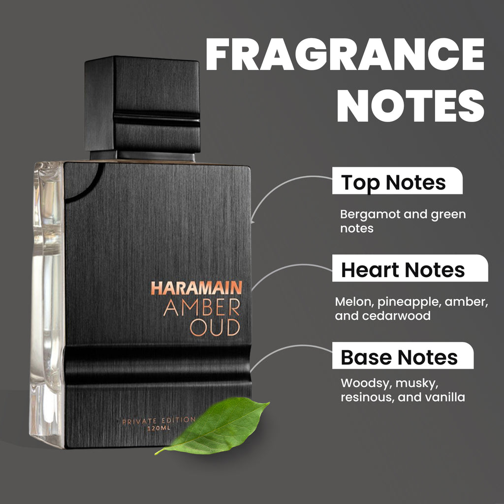 Amber Oud Private Edition Eau De Parfum 100ml