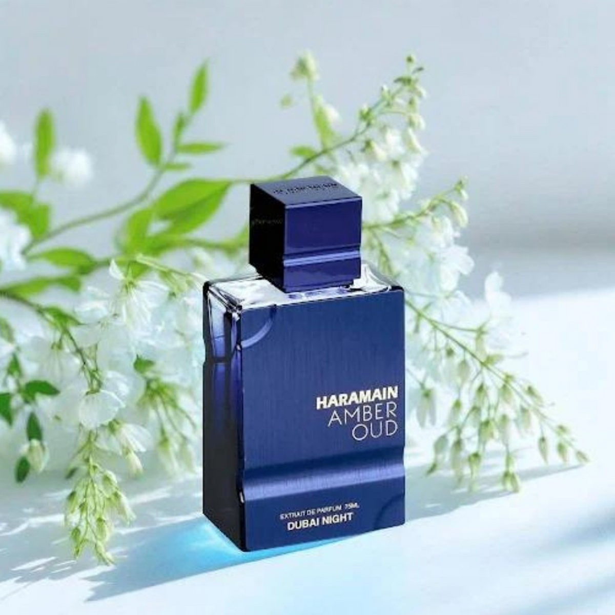 Amber Oud Dubai Night Extrait de Parfum 100ml