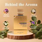 Amber Oud Blue Edition Eau de Parfum 200ml