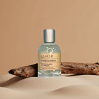 Shirocco Winds Perfume N22 Eau de Parfum 100ml