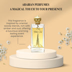 Amber Oud Eau de Parfum 100ml