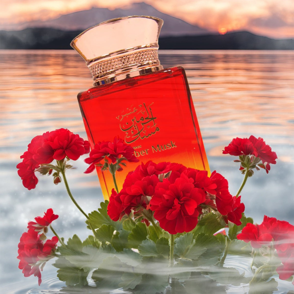 Amber Musk Eau de Parfum 100ml