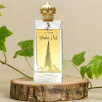 Amber Oud Eau de Parfum 100ml